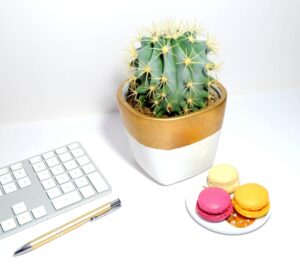 How To Use The Zoom Out Keyboard Shortcut Effectively