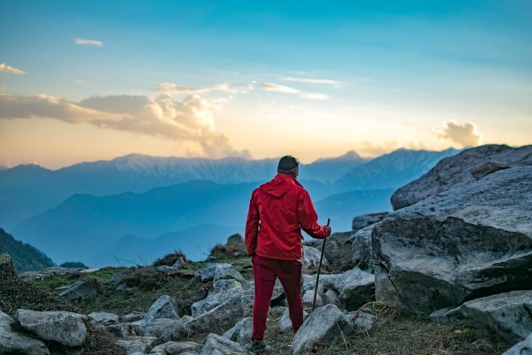 Tips For Renting A Perfect Tempo Traveller In Manali Today