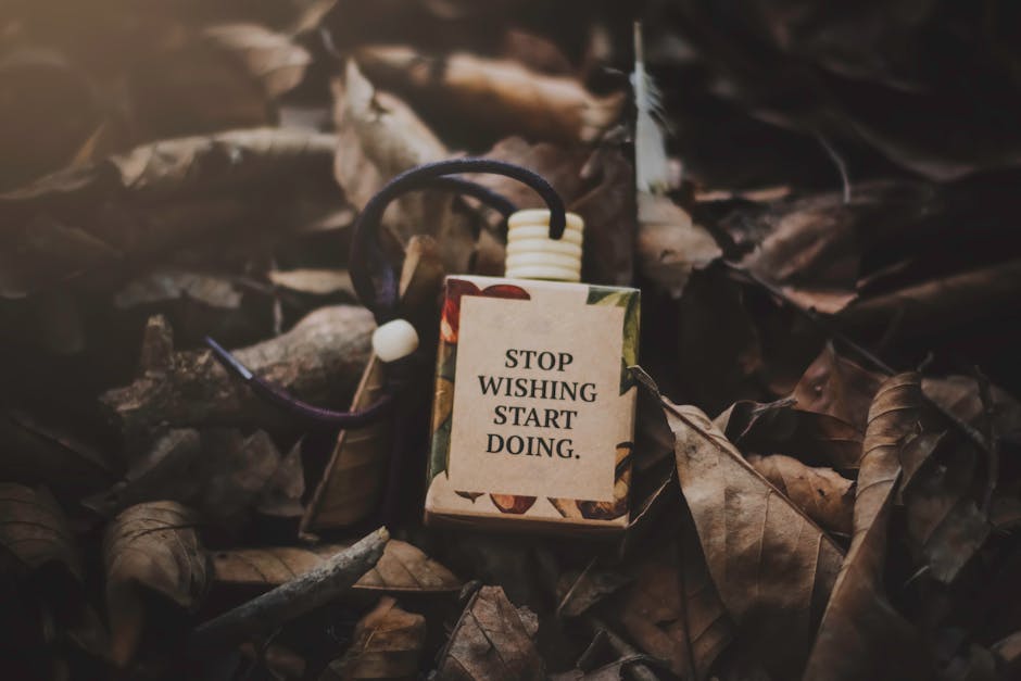 Featured image for Top 5 Ways How Do Changing Seasons Affect Our Lifestyle
