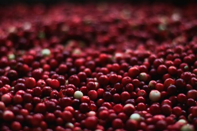 Best How To Manage Food Waste For A Greener Future Inspider