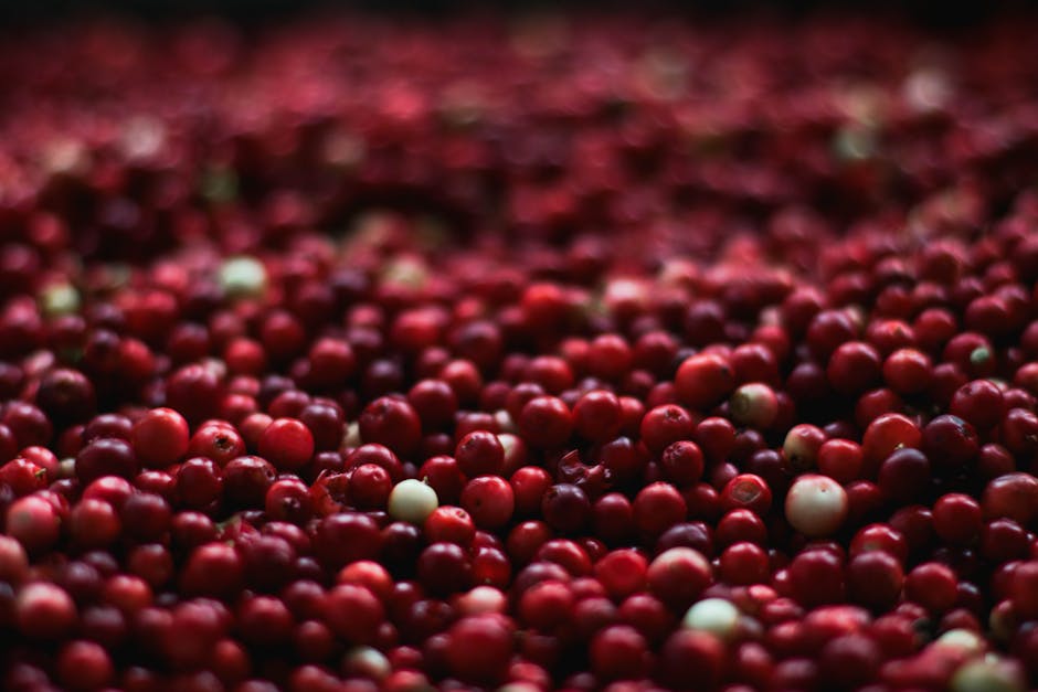 Featured image for Best How To Manage Food Waste For A Greener Future Inspider