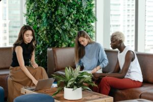 Understanding Traceloans.Com Business Loans For Your Company