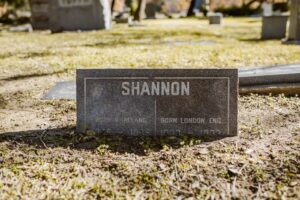 Featured image for Shannon Reardon Swanick Insights For Professional Growth