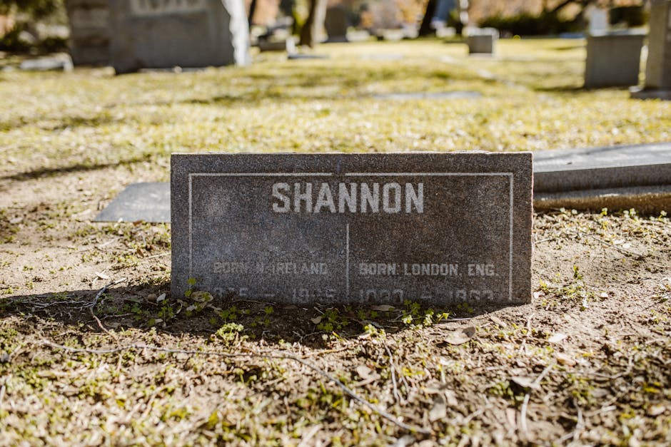 Featured image for Shannon Reardon Swanick Insights For Professional Growth