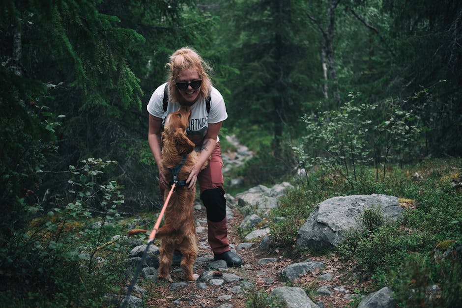 Featured image for Understanding Vanna Bardeau A Professional Look At The Subject