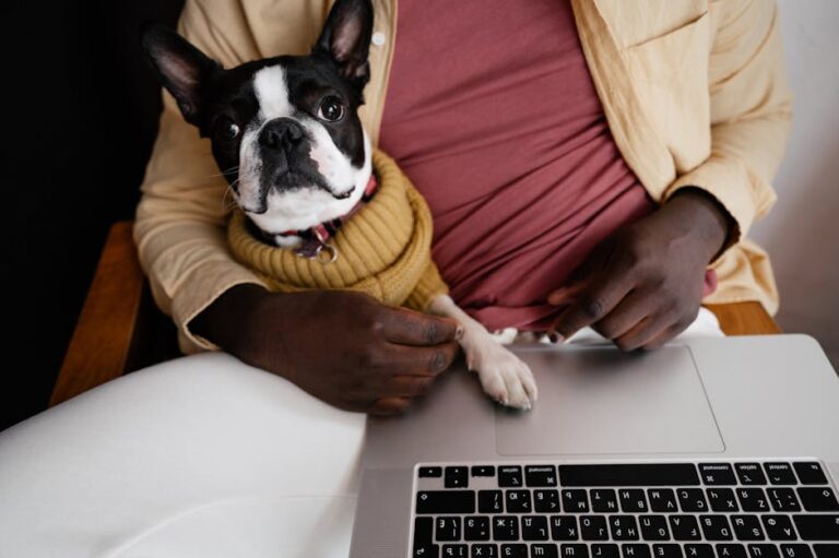 Practical Steps For Building Your Robust guiadonegociodigital