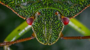 Understanding tex9.net Green Technology Implementation