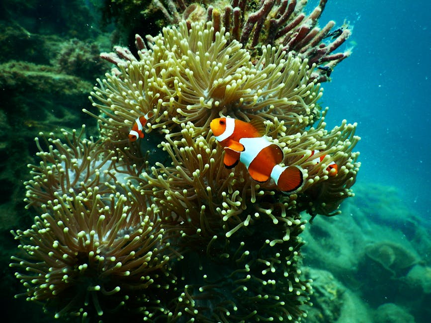 Featured image for ANALYZING THE EXACT SAME WATERS CRYPTOPRONETWORKCOM TODAY