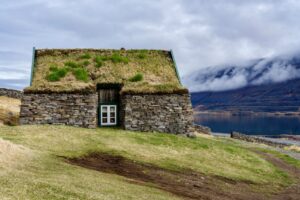 Understanding Environmental & Sustainability Principles For Business
