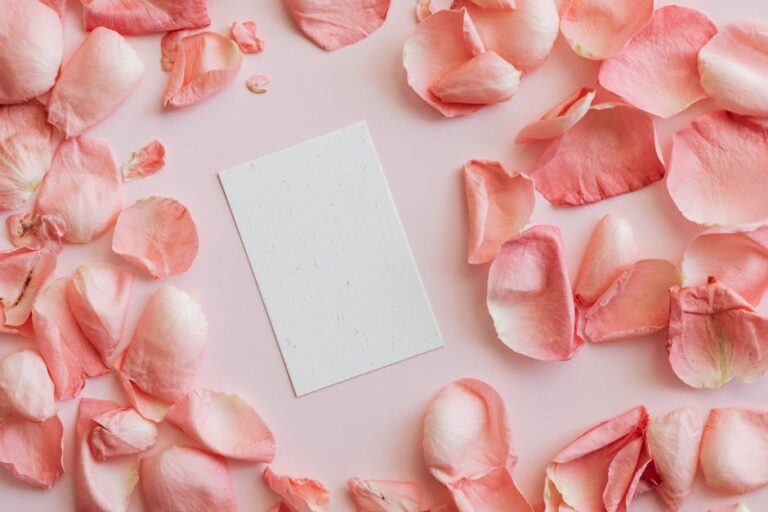 Understanding Valentine Week Meanings And Best Celebrations