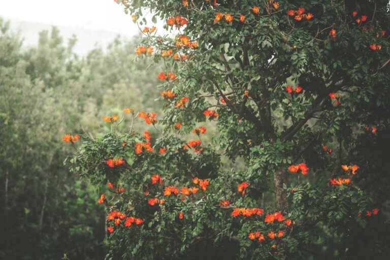 Guide To Chikkamagaluru Places Of Interest And Sites