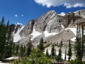Understanding Your Wyoming Mesothelioma Lawyer Vimeo