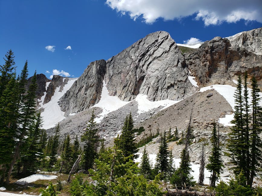 Featured image for Understanding Your Wyoming Mesothelioma Lawyer Vimeo
