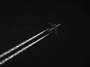 Featured image for Successful cursed-memes.com Travel Recommendations And Advice