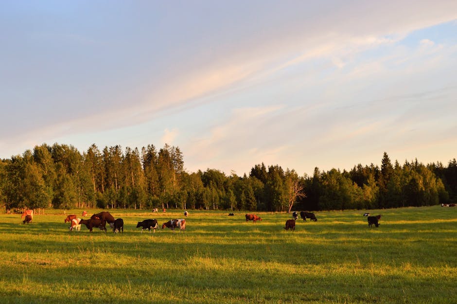 Featured image for Essential Facts About tex9.net green And Its Key Features