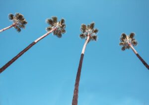 Essential Steps To Achieving Your make1m.com Millionaire Life