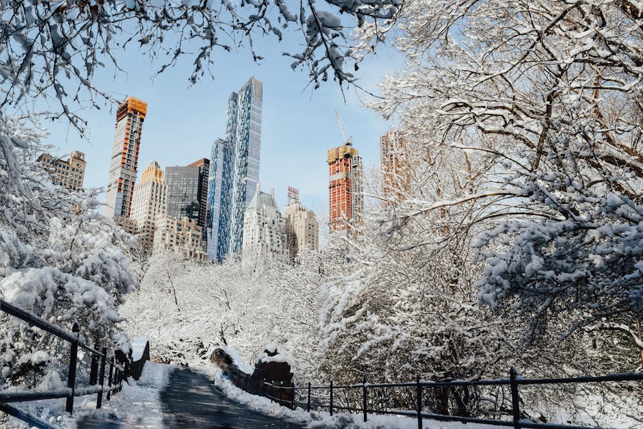 Featured image for How cold is it in your area Get accurate temperature readings