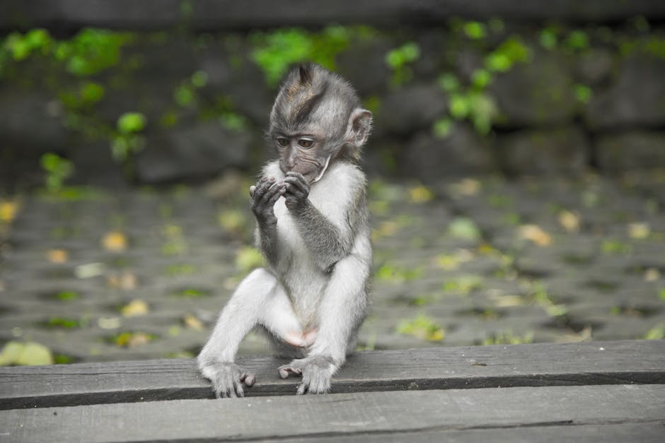 Featured image for Exact Same Ubud Top 10 Best Places and Travel Info