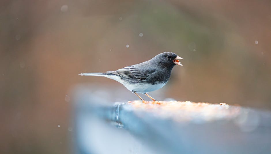 Top 5 Best Bluetooth Calling Smartwatches Under 5000 2026