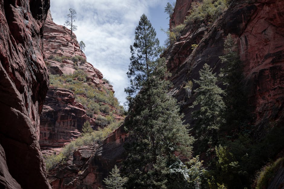 Jeff Bezos San Antonio Hotel Conference June 2024 & 2026 Facts