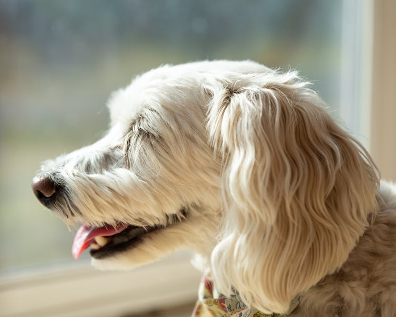 Featured image for Our Top Picks For The Best Smart Coffee Maker For Home 2026